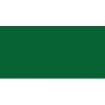 Picture of Rit Liquid Dye Βαφή για Ύφασμα 236ml - Dark Green