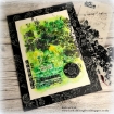 Picture of Tim Holtz Mini Layered Στενσιλ Σετ - Thorned Markings Crest Set  53, 3 τεμ.