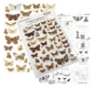 Picture of 49 & Market Rub-Ons Φύλλο Μεταφοράς Εικόνας 15 x 20 cm - Butterflies 01, 2τεμ