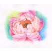 Picture of Spectrum Noir Spectrum Aquablend Μολύβια Ακουαρέλας - Botanical, 24τεμ.