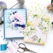 Picture of Pinkfresh Studio Premium Dye Cube Ink Pads Σετ Μελάνια - Starry Night, 4τεμ.