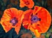 Picture of Ακρυλικό Χρώμα DecoArt Traditions 90ml - Burnt Sienna