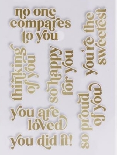 Picture of Pinkfresh Studio Hot Foil Plate - Μήτρα Χρυσοτυπίας - Celebrating You