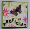 Picture of Dutch Doobadoo Mask Art Στένσιλ A5 - Flower Swirl