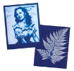 Picture of Jacquard Cyanotype Ferric Ammonium Citrate 473ml - Κιτρικό Αμμώνιο Σιδήρου για Κυανοτυπία