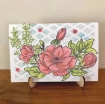 Picture of Pinkfresh Studio Μεταλλική Μήτρα Κοπής - Magnolia