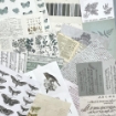Picture of 49 And Market Χαρτιά για Κολάζ 6" x 8" - Color Swatch: Eucalyptus, 40τεμ.