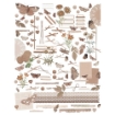 Picture of 49 & Market  Laser Cut Διακοσμητικά Στοιχεία - Color Swatch: Toast, 111τεμ.