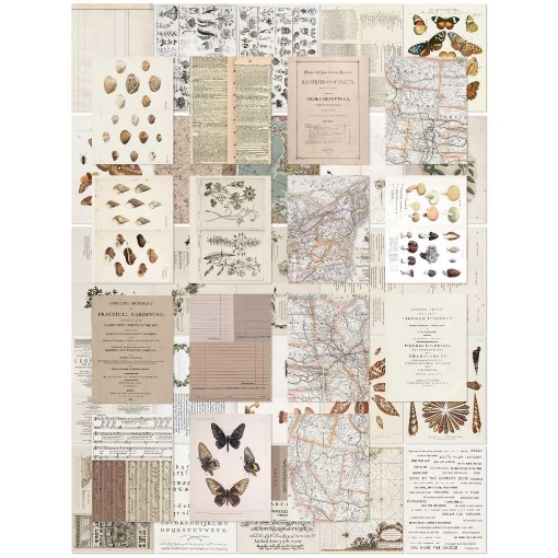 Picture of 49 & Market Φύλλα για Κολάζ 6" x 8" - Color Swatch: Toast, 40τεμ.