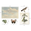 Picture of Tim Holtz Idea-Ology Layers Die-Cuts Διακοσμητικά Εφήμερα - Organic, 45τεμ.