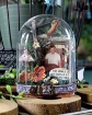 Picture of Tim Holtz Idea-Ology Transparent Layers Διακοσμητικά Διάφανα Εφέμερα, 12τεμ.