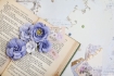 Picture of Prima Marketing Χάρτινα Λουλούδια Mulberry - The Plant Department Flowers, Sweet Blue, 12τεμ.