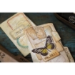 Picture of Sizzix Thinlits Dies By Tim Holtz - Μήτρες Κοπής - Specimen, 54τεμ.