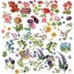 Picture of 49 & Market Laser Cut Διακοσμητικά Στοιχεία - Spectrum Gardenia, Floral, 71τεμ.