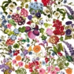 Picture of 49 & Market Laser Cut Διακοσμητικά Στοιχεία - Spectrum Gardenia, Floral, 71τεμ.