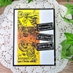 Picture of Creative Expressions Woodware Craft Διάφανες Σφραγίδες 4"X6" - Junk Labels, 15τεμ.