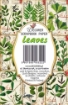 Picture of Decorer Μίνι Συλλογή Χαρτιών Scrapbooking Διπλής Όψης  - Leaves