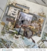 Picture of 49 & Market Filmstrips Frames Διακοσμητικά Πλαίσια με Μορφή Φιλμ - Vintage Artistry, Nature Study, 30τεμ.