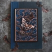 Picture of Sizzix Framelits Dies By Tim Holtz Μήτρες Κοπής - Entomology, 14τεμ.