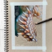 Picture of Strathmore Series 400 Spiral Paper Pad 23 x 31 cm -Μπλοκ Ζωγραφικής - Sketch, Toned Tan, 50 Φύλλα, 118gsm