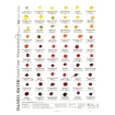 Picture of Daniel Smith Extra Fine Watercolors Dot Card – Κάρτα Δοκιμής 266 Ακουαρέλες + 22 Gouache, 288 Χρώματα