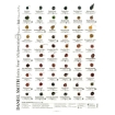 Picture of Daniel Smith Extra Fine Watercolors Dot Card Κάρτα Δοκιμής - 288 Χρώματα