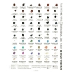 Picture of Daniel Smith Extra Fine Watercolors Dot Card Κάρτα Δοκιμής - 288 Χρώματα