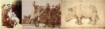 Picture of Tom Norton's Walnut Drawing Ink - Υγρό Μελάνι Ζωγραφικής Walnut, 70ml