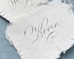Picture of Tom Norton's Walnut Ink Darkening Medium - Medium για Σκούρυνση του Walnut Ink 42ml