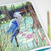Picture of Sargent Art Watercolor Pencil Drawing Set - Σετ Ακουαρελας, 19 τεμ.