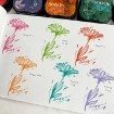 Picture of Stazon Midi Ink Pad - Μόνιμο Μελάνι για μη Πορώδεις Επιφάνειες, Claret 