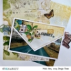 Picture of 49 And Market Συλλογή Χαρτιών Scrapbooking Διπλής Όψης 12''X12"  - Wherever
