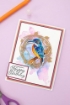 Picture of Crafter's Companion Clear Stamps - Nature's Garden - Kingfisher, All Occasion Sentiments, 11pcs