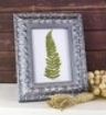 Picture of DecoArt Acrylic Matte Metallics Μεταλλικό Ακρυλικό Χρώμα Ματ Φινίρισμα - Soft Silver