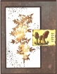 Picture of Tim Holtz Distress Oxide Spray | Υβριδικό Μελάνι Οξείδωσης σε Σπρέι για Mixed Media - Brushed Corduroy