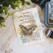Picture of Ranger Tim Holtz Distress Oxide Spray - Scorched Timber
