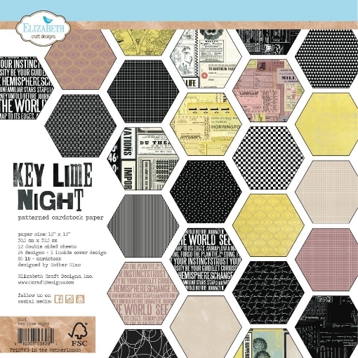 Picture of Elizabeth Craft Designs Συλλογή Cardstock Χαρτιών Scrapbooking Διπλής Όψης 12"X12" - From The Past, Key Lime Night