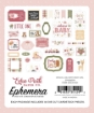 Picture of Echo Park Cardstock Ephemera | Διακοσμητικά Εφήμερα Special Delivery Baby Girl Icons, 34τεμ.
