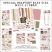 Picture of Echo Park Mega Bundle 12"x12" | Special Delivery Baby Girl, 315τεμ.
