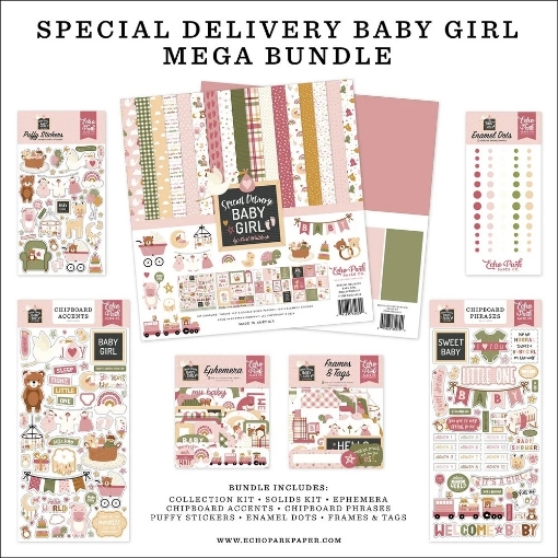Picture of Echo Park Mega Bundle 12"x12" | Special Delivery Baby Girl, 315τεμ.