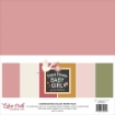 Picture of Echo Park Mega Bundle 12"x12" | Special Delivery Baby Girl, 315τεμ.