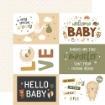 Picture of Echo Park Collection Kit 12"x12" | Συλλογή Χαρτιών Special Delivery Baby σε Ουδέτερες Αποχρώσεις