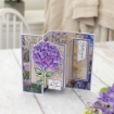 Picture of Crafter's Companion Διάφανες Σφραγίδες - Nature's Garden - Hydrangea, 9τεμ.