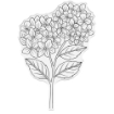 Picture of Crafter’s Companion Nature’s Garden Hydrangea | Διάφανες Σφραγίδες Sentiments 9 τεμ.