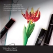 Picture of Spectrum Noir Triblend Brush Μαρκαδόρος Οινοπνεύματος 3 σε 1 - Alpine Green Blend (AG1 AG3 AG5)