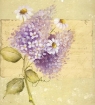 Picture of Willow Wolfe Amavi Artist Basic Strokes Brush Set - Σετ Πινέλα - Σετ 1: Rounds, 4τεμ.