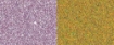 Picture of Jacquard Pearl Ex Powdered Pigment 3g  -  Duo Violet Brass