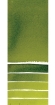 Picture of Daniel Smith Extra Fine Watercolor | Χρώμα Ακουαρέλας Half Pan – Sap Green