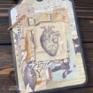 Picture of Ciao Bella Stamping Art Διάφανες Σφραγίδες 4" X 6" - Human & Nature, Sign Of The Times, 2τεμ.