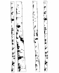 Picture of Studio Light Winter Garden Στένσιλ 6" x 8" - Nr. 87, Birch Trees